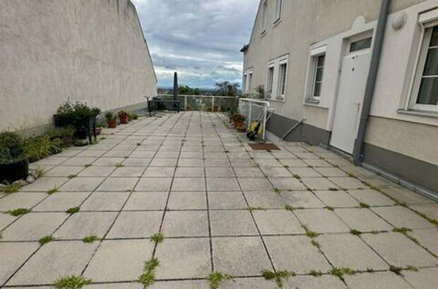 Mietwohnung in 2352 Gumpoldskirchen (Bild 5)