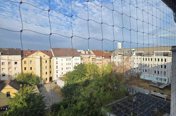 Anlageobjekt kaufen in 4020 Linz (Bild 2)
