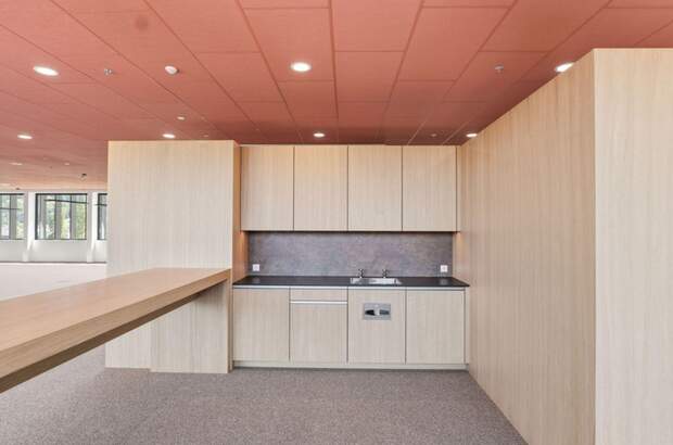 Gewerbeobjekt mieten in 6922 Wolfurt (Bild 4)