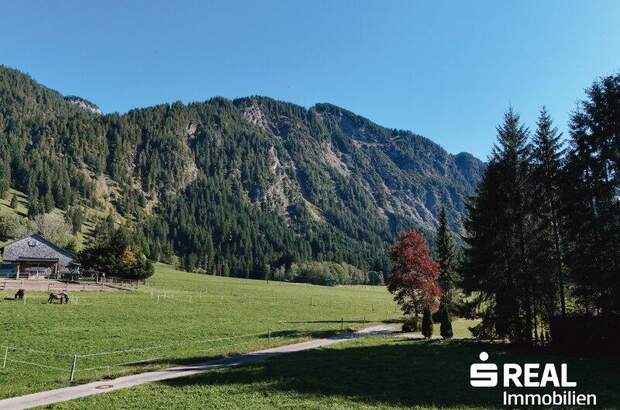 Grundstück kaufen in 6675 Tannheim (Bild 4)