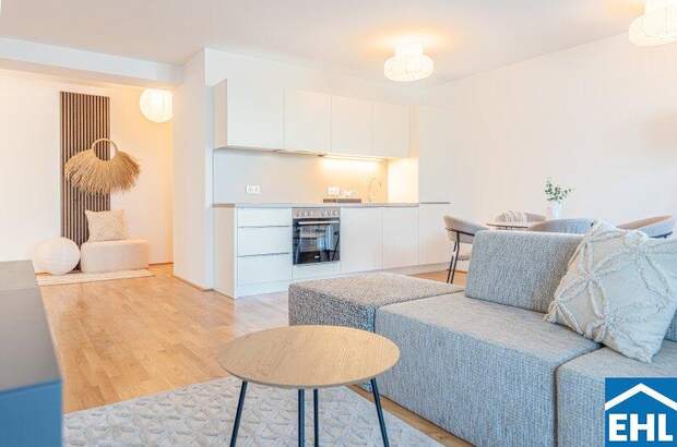 Terrassenwohnung mieten in 1110 Wien (Bild 3)