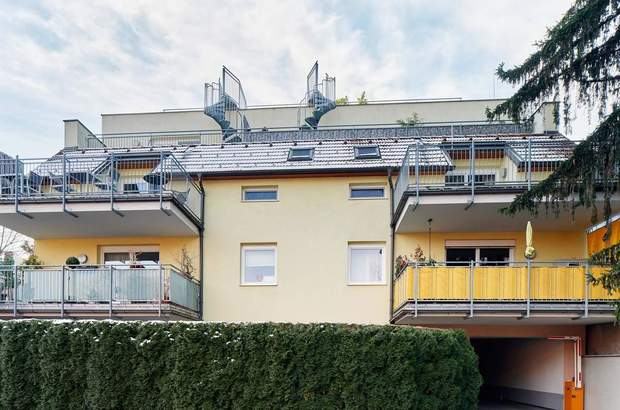 Terrassenwohnung kaufen in 2100 Korneuburg (Bild 1)