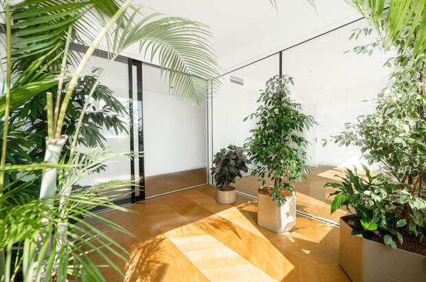 Wohnung kaufen in 1010 Wien (Bild 3)