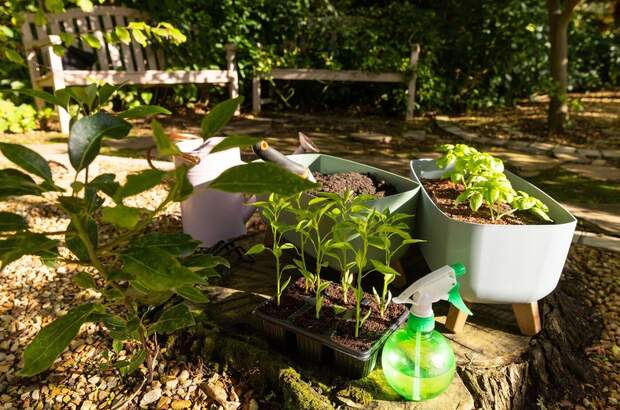 Wohnung mieten in 9100 Völkermarkt (Bild 2)