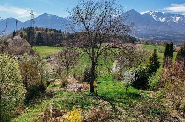 Grundstück kaufen in 9072 Ludmannsdorf (Bild 4)