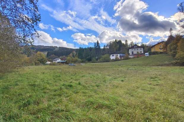 Grundstück kaufen in 8684 Spital (Bild 4)