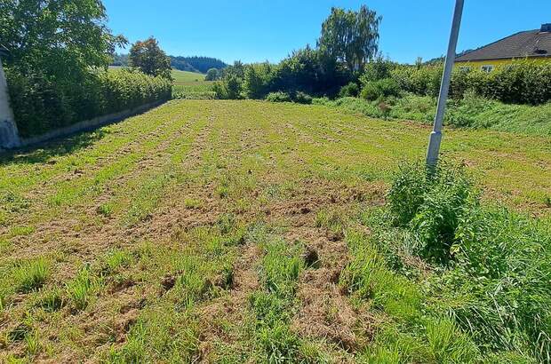 Grundstück kaufen in 3383 Hürm (Bild 1)