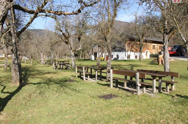 Gewerbeobjekt mieten in 5340 Sankt Gilgen (Bild 5)