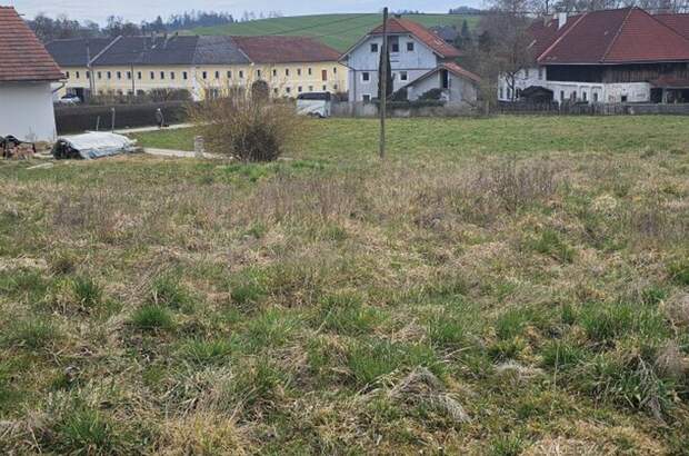 Grundstück kaufen in 4611 Buchkirchen (Bild 5)