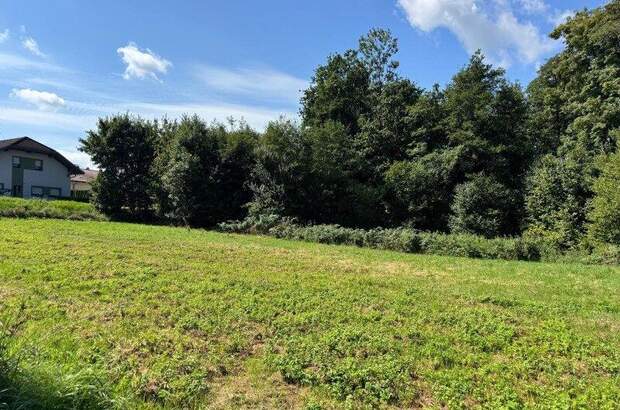 Grundstück kaufen in 4770 Andorf (Bild 5)