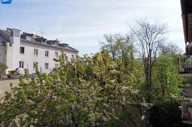 Altbauwohnung mit Balkon mieten in 5020 Salzburg (Bild 3)