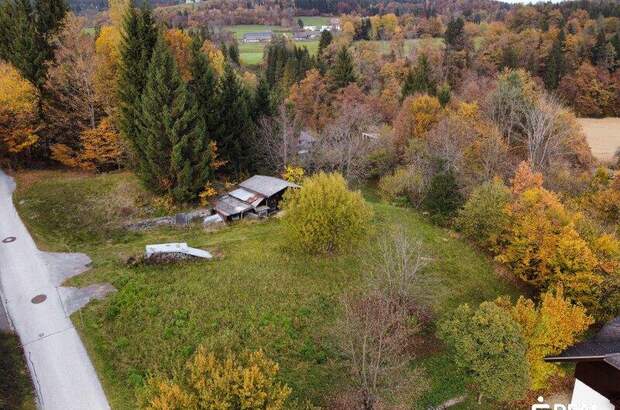 Grundstück kaufen in 9074 Keutschach (Bild 1)