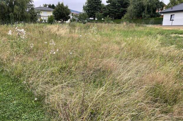 Grundstück kaufen in 8241 Dechantskirchen (Bild 2)