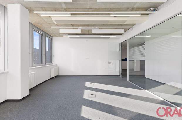 Gewerbeobjekt mieten in 1030 Wien (Bild 5)