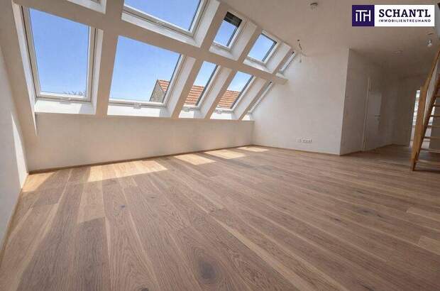 Terrassenwohnung kaufen in 2514 Traiskirchen (Bild 1)