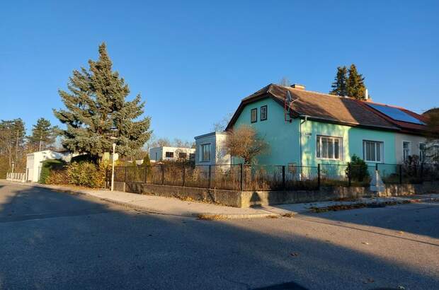 Einfamilienhaus kaufen in 2020 Hollabrunn (Bild 3)