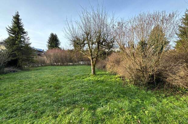 Grundstück kaufen in 5020 Salzburg