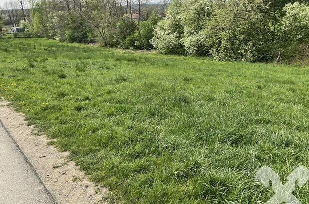 Grundstück kaufen in 8504 Preding (Bild 5)