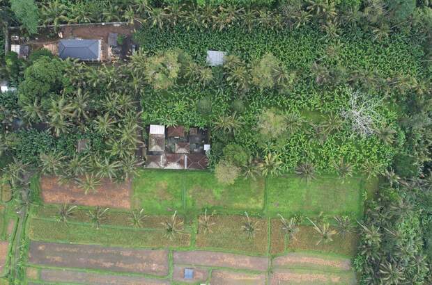 Grundstück kaufen in 80572 Puhu (Bild 4)