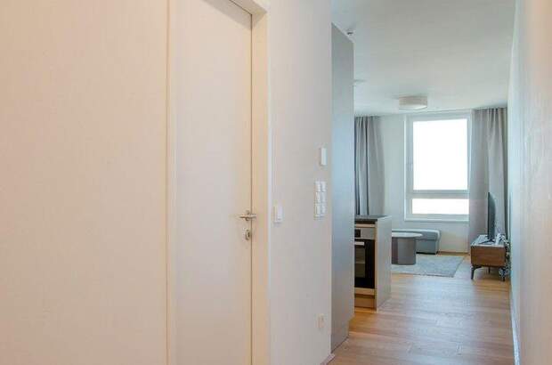 Terrassenwohnung mieten in 1220 Wien (Bild 2)