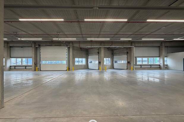 Gewerbeobjekt mieten in 4470 Enns (Bild 2)