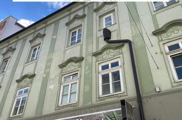 Anlageobjekt kaufen in 4470 Enns (Bild 3)