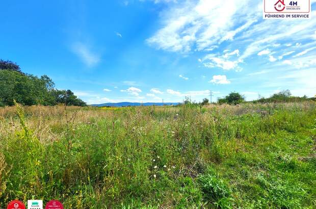 Grundstück kaufen in 2700 Wr. Neustadt (Bild 3)