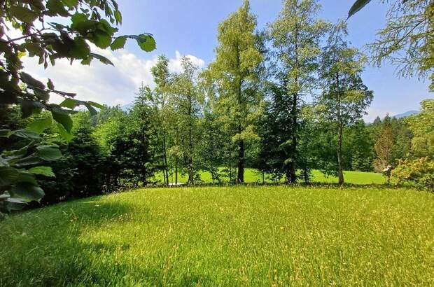 Grundstück mieten in 5324 Faistenau (Bild 1)