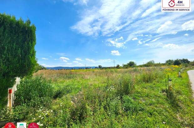 Grundstück kaufen in 2700 Wr. Neustadt (Bild 2)