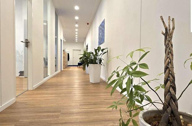 Gewerbeobjekt mieten in 2351 Wiener Neudorf (Bild 1)