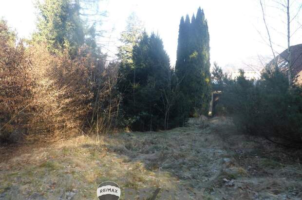 Grundstück kaufen in 3001 Mauerbach (Bild 5)