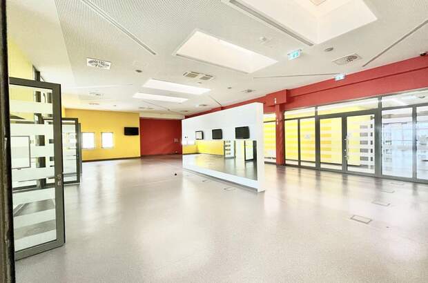 Gewerbeobjekt mieten in 2320 Schwechat (Bild 4)