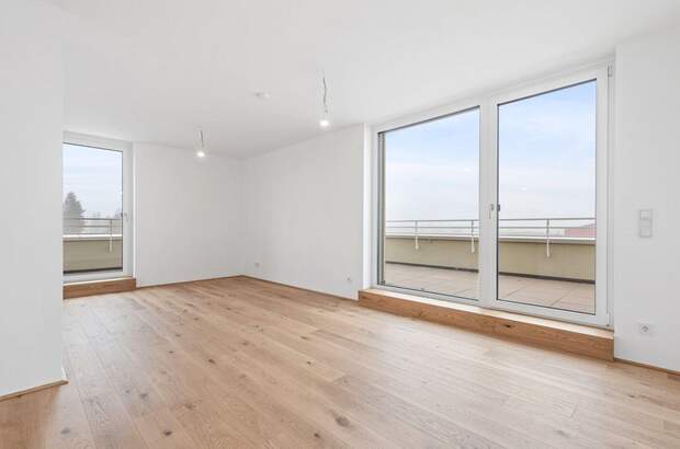 Anlageobjekt kaufen in 2540 Bad Vöslau (Bild 3)