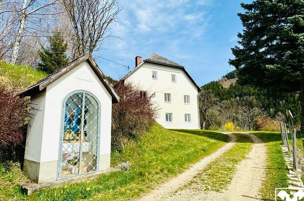 Haus kaufen in 9473 Lavamünd (Bild 4)