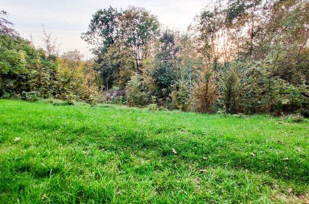 Grundstück kaufen in 4650 Lambach (Bild 2)