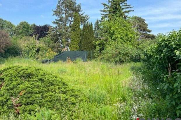 Grundstück kaufen in 2201 Kapellerfeld (Bild 3)
