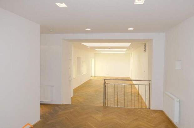 Gewerbeobjekt mieten in 1060 Wien 6. (Bild 1)
