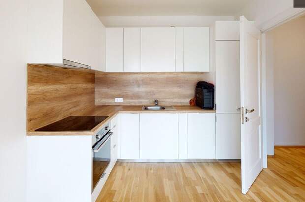 Anlageobjekt kaufen in 2700 Wiener Neustadt (Bild 1)