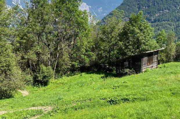 Gewerbeobjekt kaufen in 6432 Sautens (Bild 3)