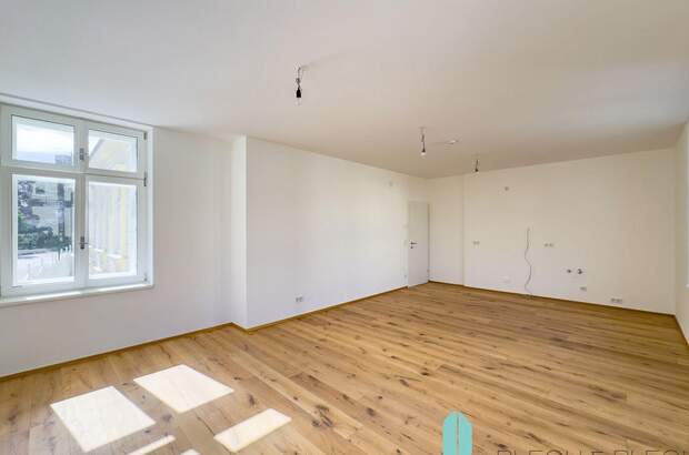 Altbauwohnung kaufen in 2500 Baden (Bild 2)