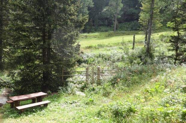 Haus kaufen in 9565 Reichenau (Bild 2)