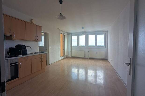 Terrassenwohnung mieten in 1220 Wien (Bild 3)