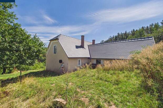 Haus mit Garten kaufen in 3844 Waldkirchen (Bild 3)