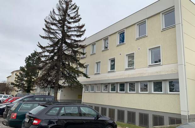 Altbauwohnung mieten in 2700 Wiener Neustadt (Bild 1)