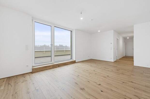 Terrassenwohnung kaufen in 2540 Bad Vöslau (Bild 3)