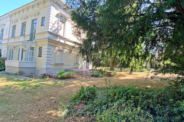 Haus mieten in 2340 Mödling (Bild 2)