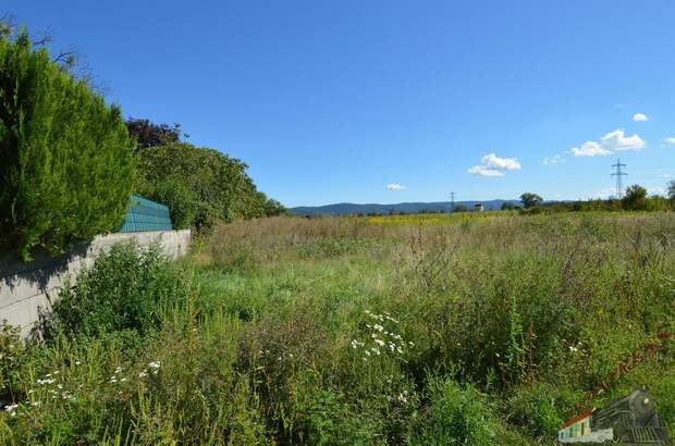 Grundstück kaufen in 2700 Wr. Neustadt (Bild 5)