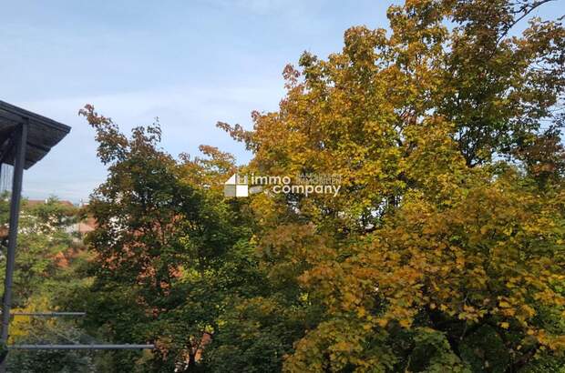 Altbauwohnung mit Balkon mieten in 8020 Graz