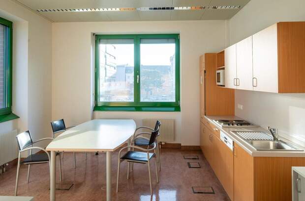 Gewerbeobjekt mieten in 1220 Wien (Bild 3)