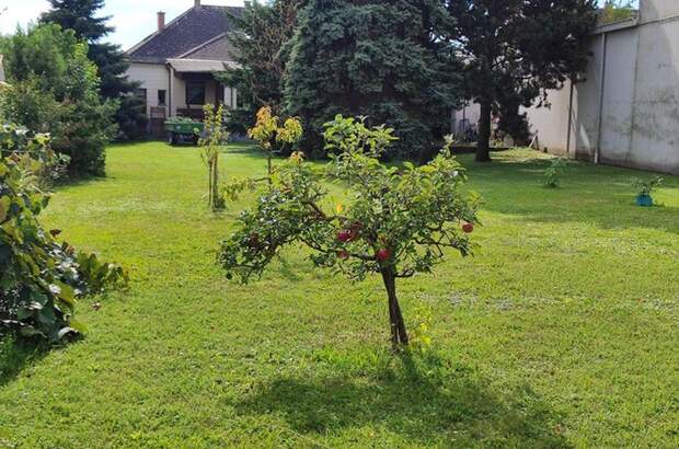 Haus mit Garten kaufen in 7011 Siegendorf (Bild 1)